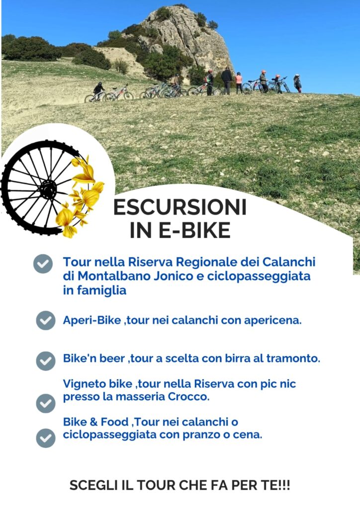 Escursioni in e-bike